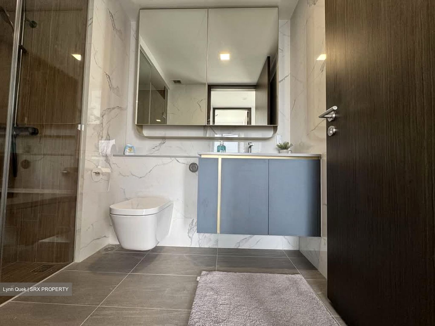 Amo Residence (D20), Apartment #592554221